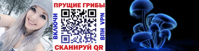 Псилоцибиновые грибы Psilocybe  Купить закладки  Ханты-Мансийск 